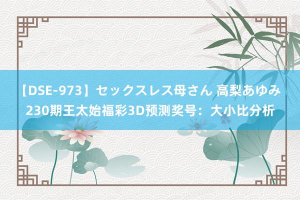 【DSE-973】セックスレス母さん 高梨あゆみ 230期王太始福彩3D预测奖号：大小比分析