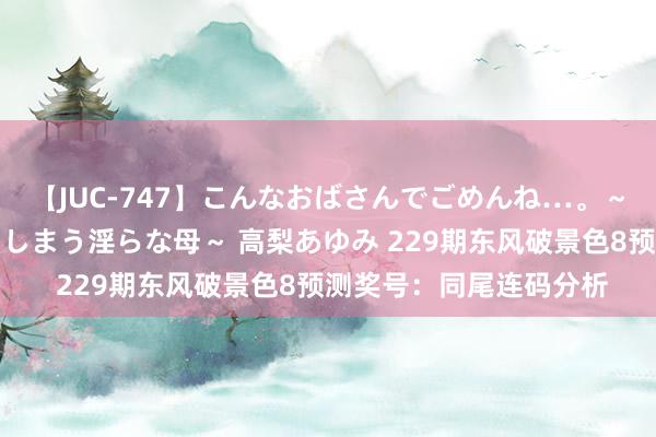 【JUC-747】こんなおばさんでごめんね…。～童貞チ○ポに発情してしまう淫らな母～ 高梨あゆみ 229期东风破景色8预测奖号：同尾连码分析